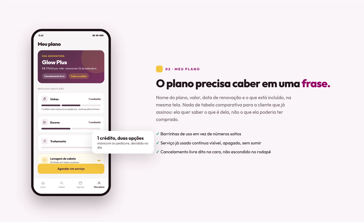 Tela do plano de assinatura com contador de serviços usados no mês